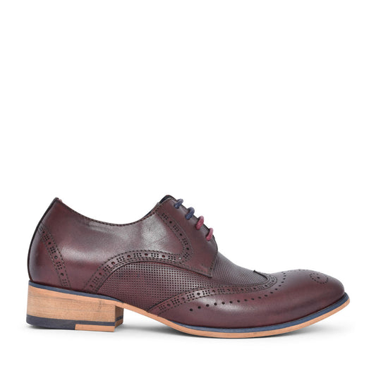 Boys Twickenham Laced Brogue Shoe In Brown