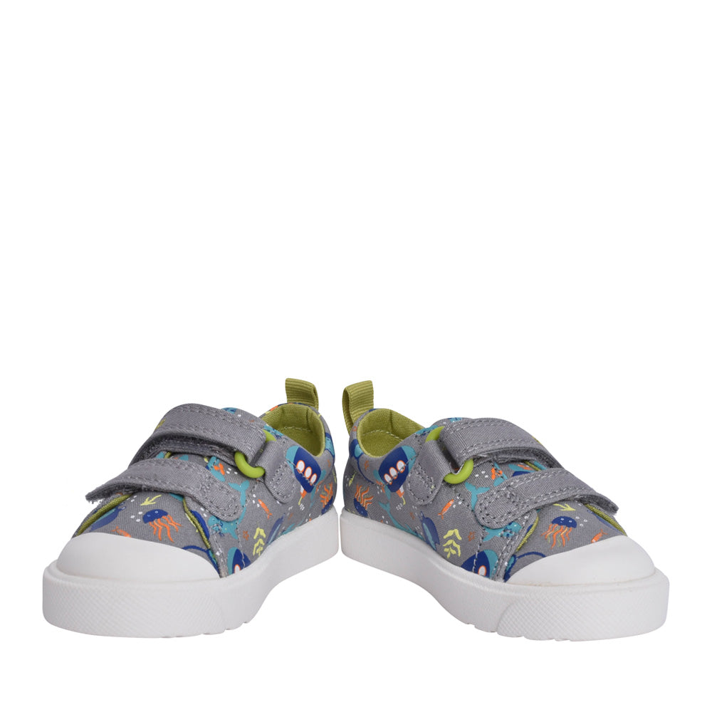 Boys City Bright Grey Combi Canvas Shoe In Kids F Fit