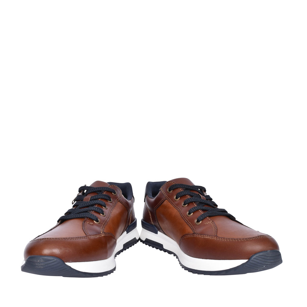 Mens 16128 Laced Shoe In Brown