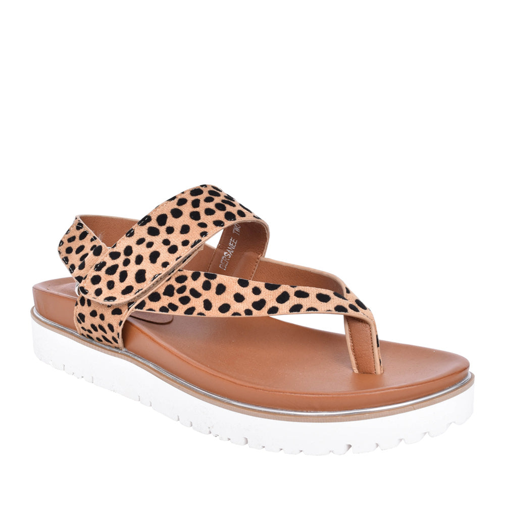 Ladies Bersanee Toe Post Sandal In Animal