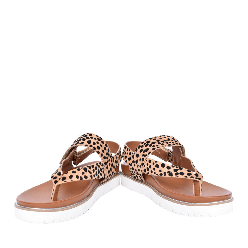 Ladies Bersanee Toe Post Sandal In Animal