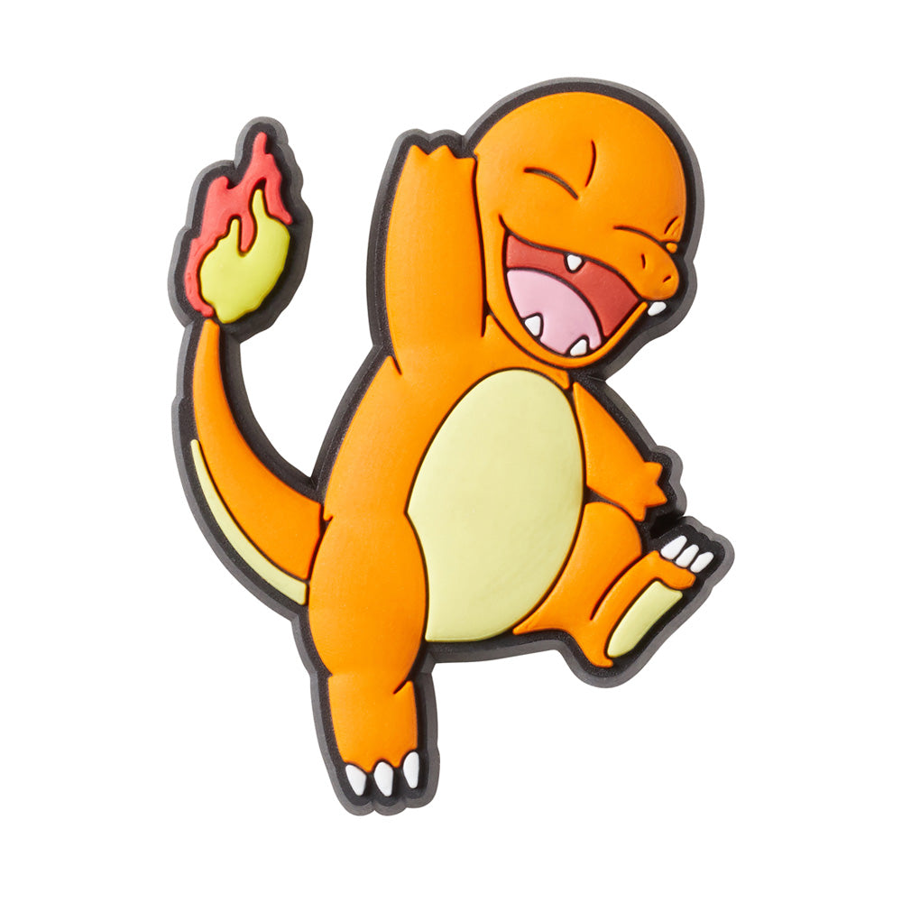 Pokemon Charmander In Any