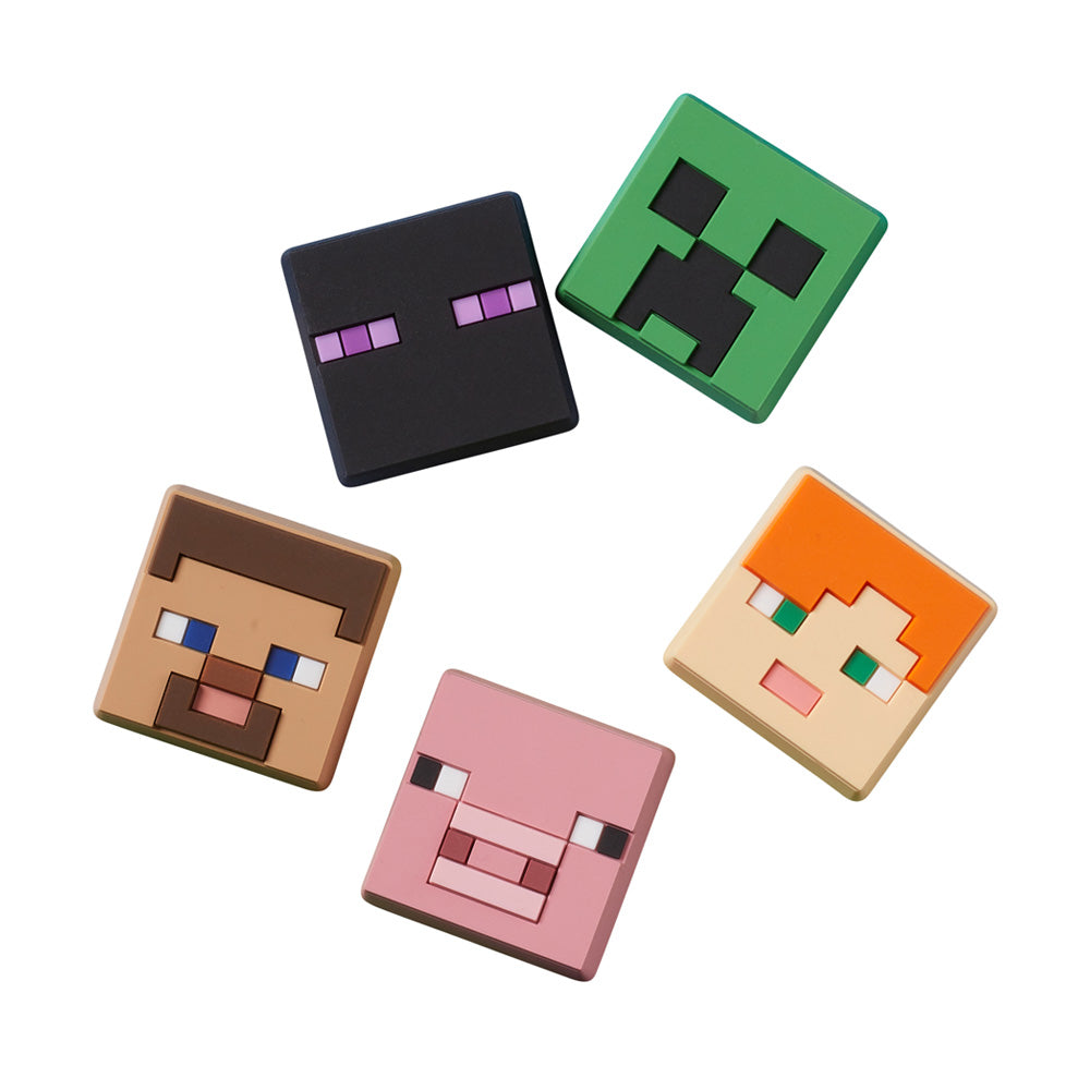 Minecraft 5 Pack Any