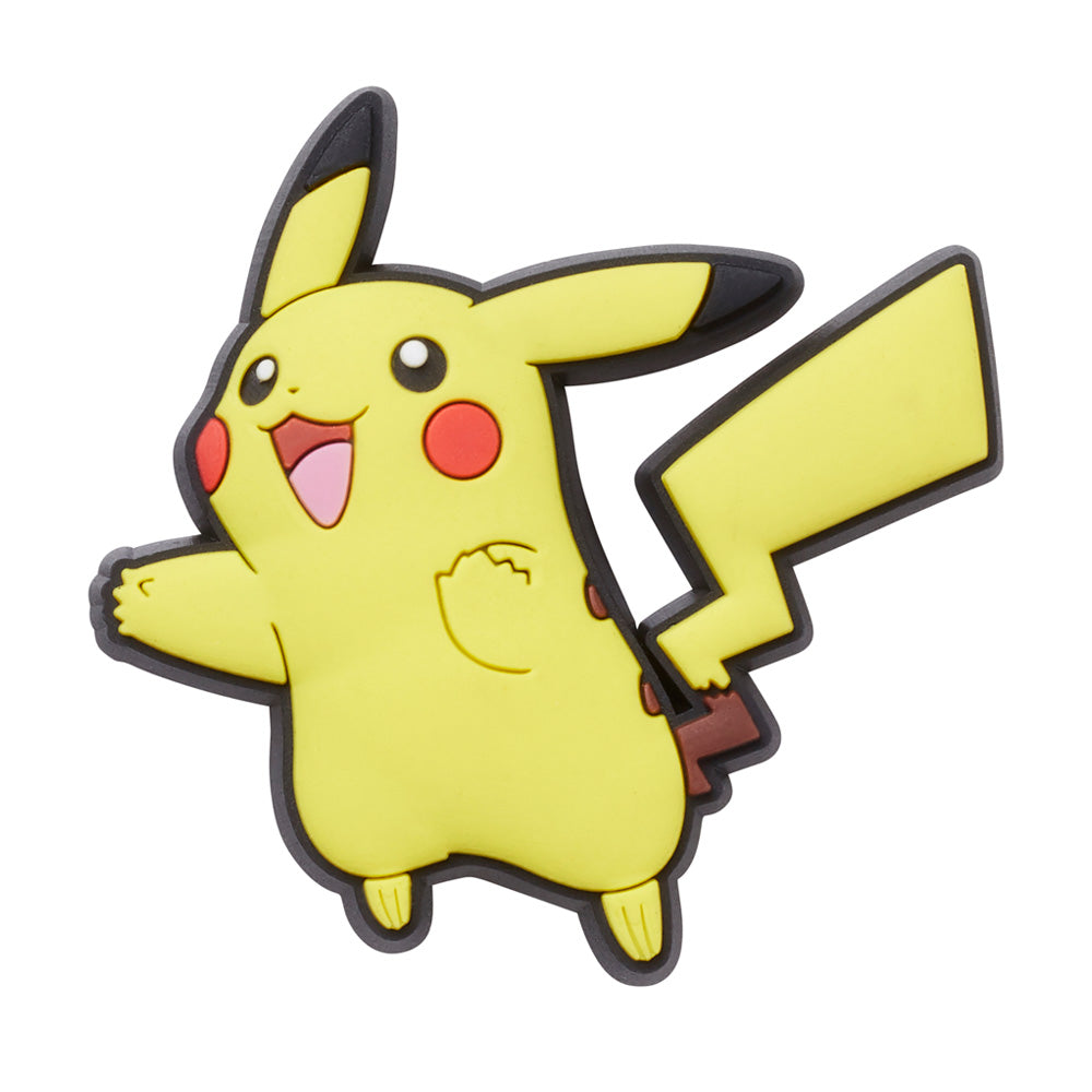 Pokemon Pikachu Any