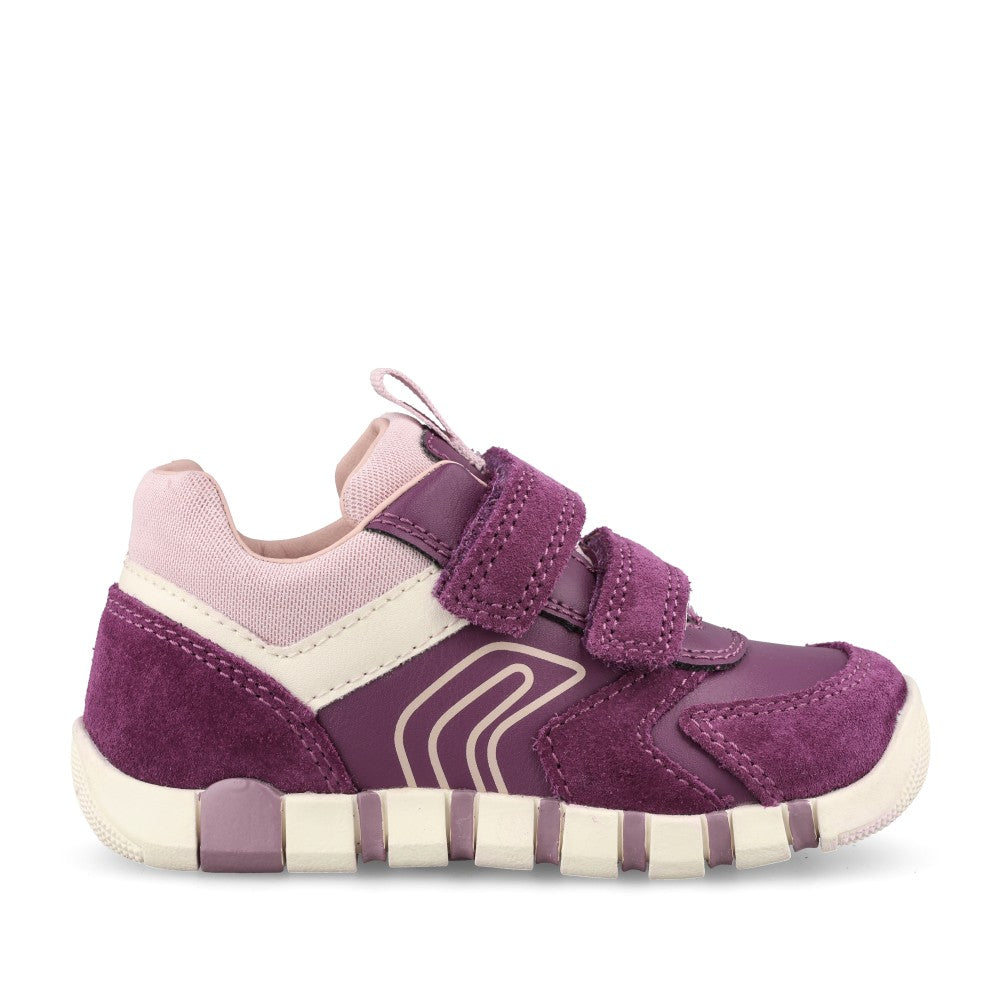 Girls B3558c B Iupidoo Velcro Trainer In Purple