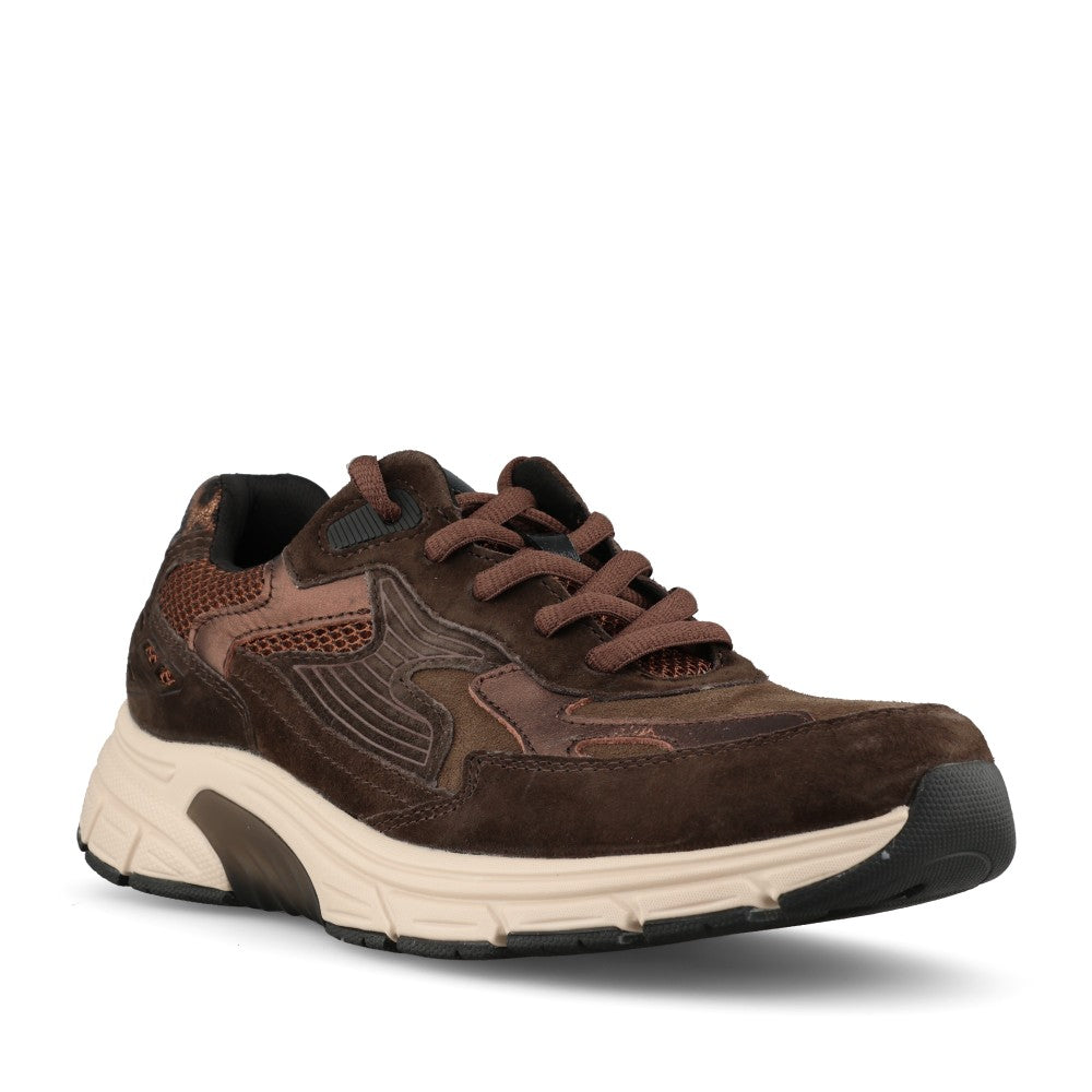 Gabor Ladies 0306.02 Precision Rollingsoft Trainer In English Brown/Brown