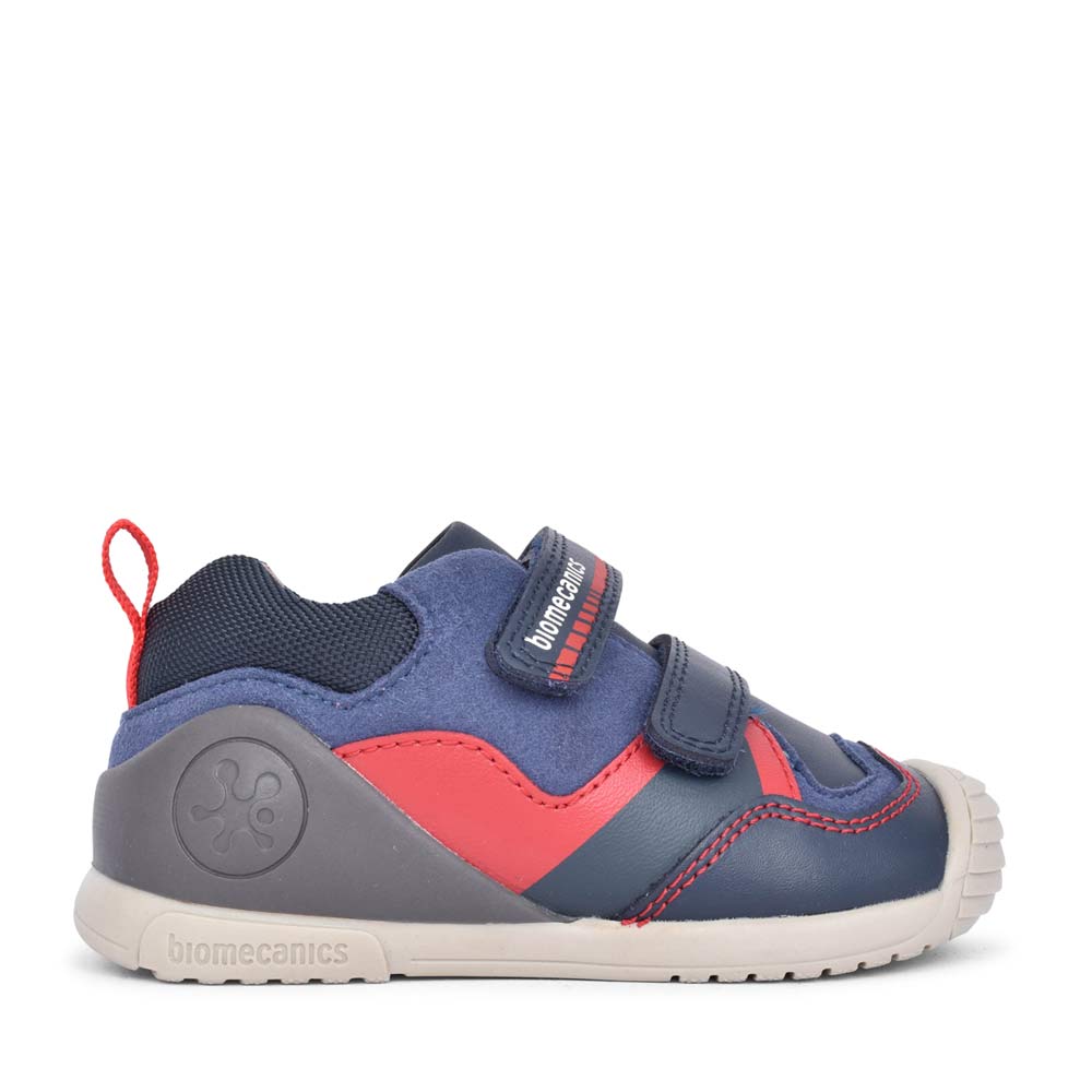 Boys 241122 Double Velcro Shoe In Navy