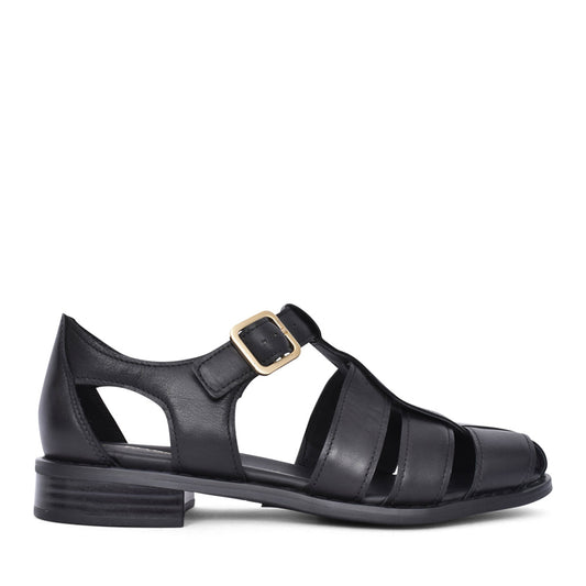 Ladies Hana Sun D-fit Low Heel Shoe In Black
