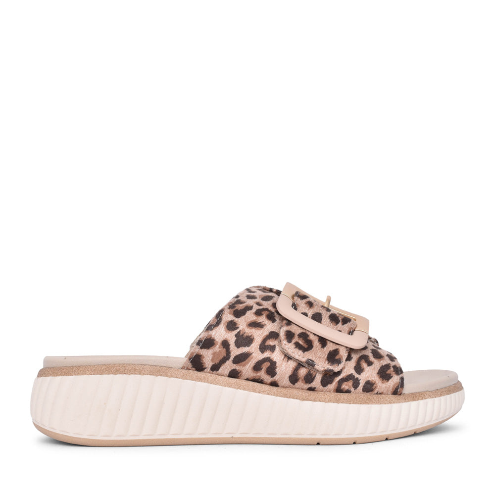 Ladies 8-27265 Mule Sandal In Leopard