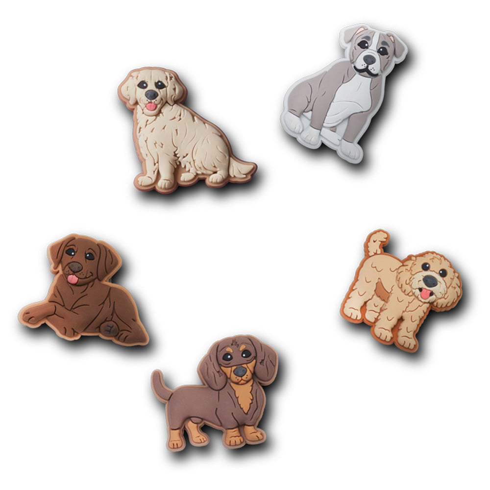 Doggie Doodle 5 Pack Any