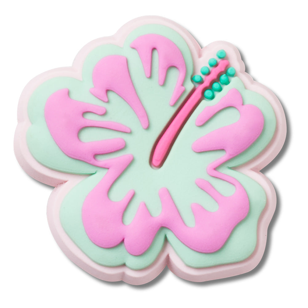 Turquoise And Pink Hibiscus In Any