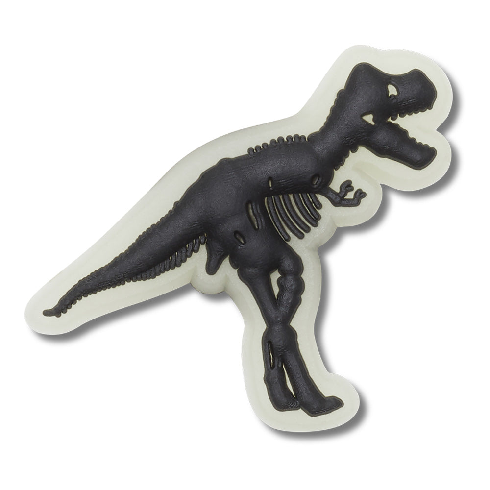 Glow Dark Dino Any