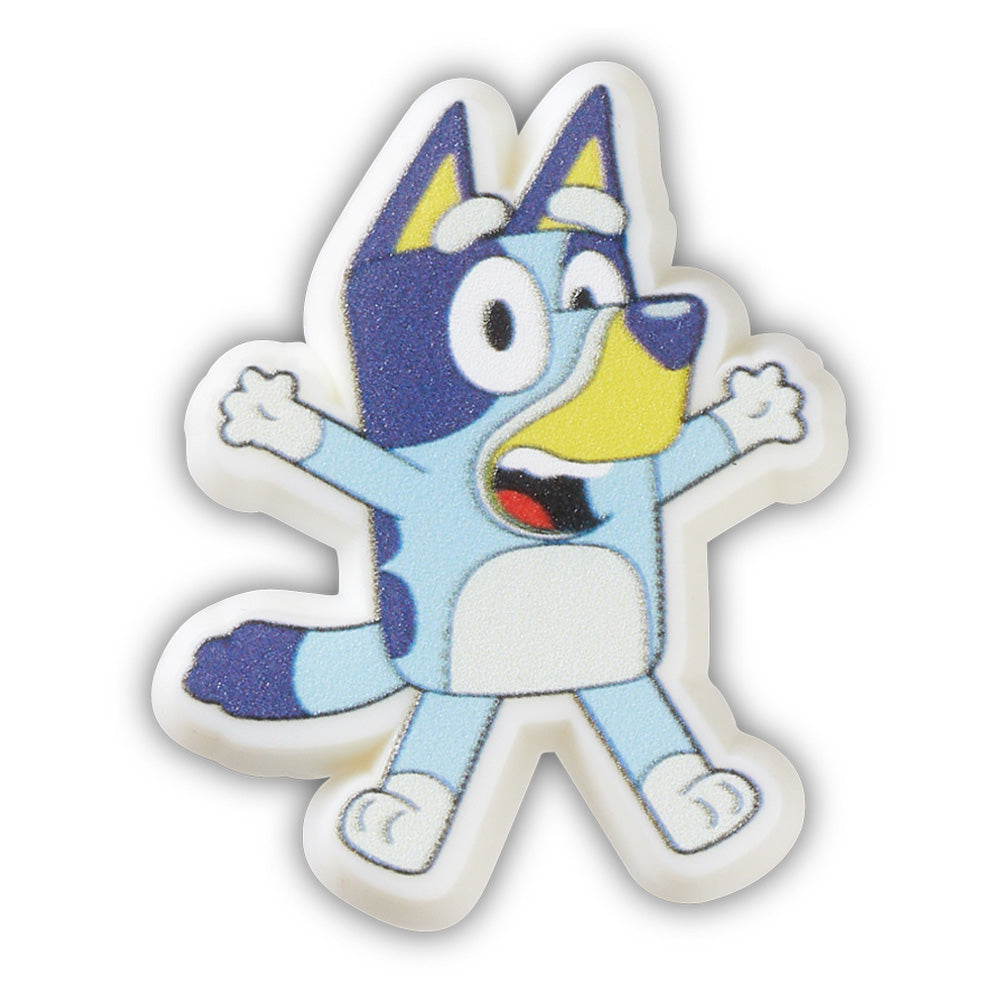 Bluey Any