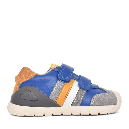 Boys 251129 Double Velcro Shoe In Blue