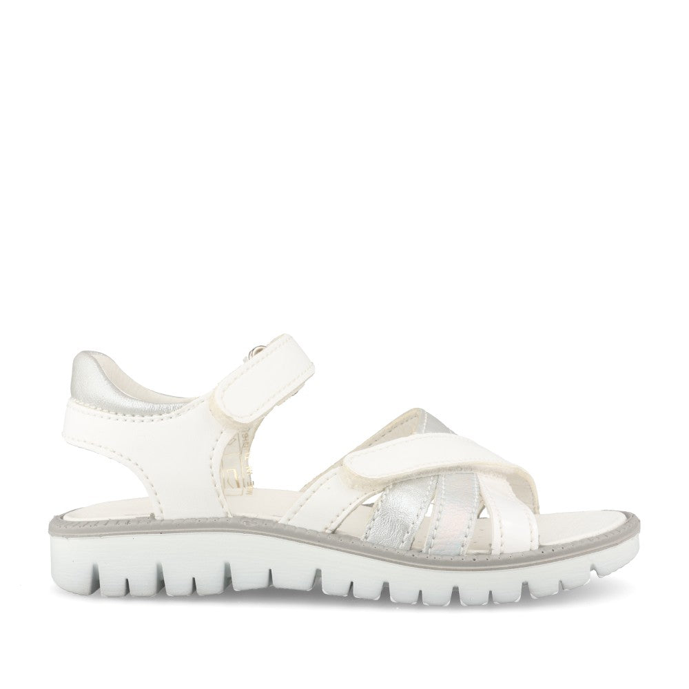 Boys Cove Go T Blue Leather Shoe In White