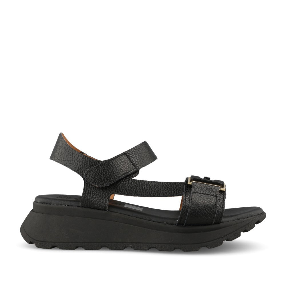 Ladies 5953 Velcro Sandal In Black