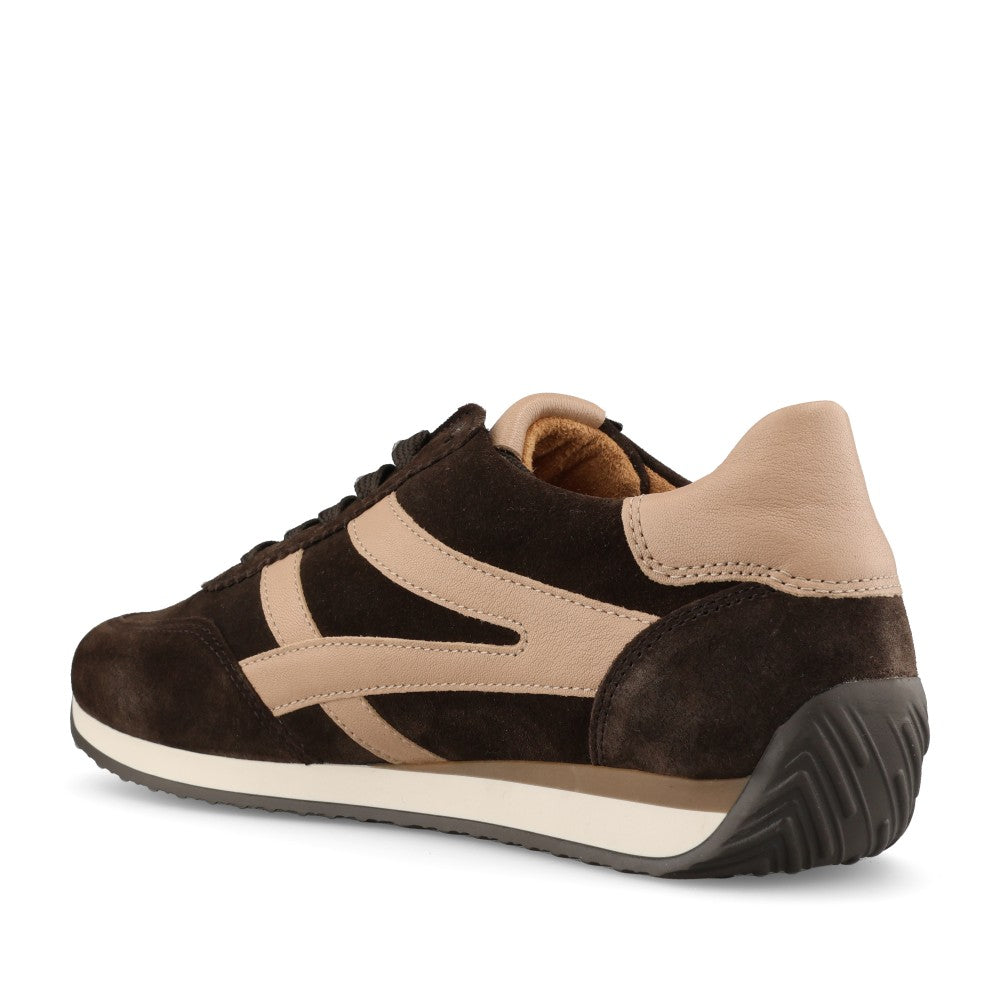 Gabor Ladies 6032.01.003 Globe Trainer In Brown/Beige