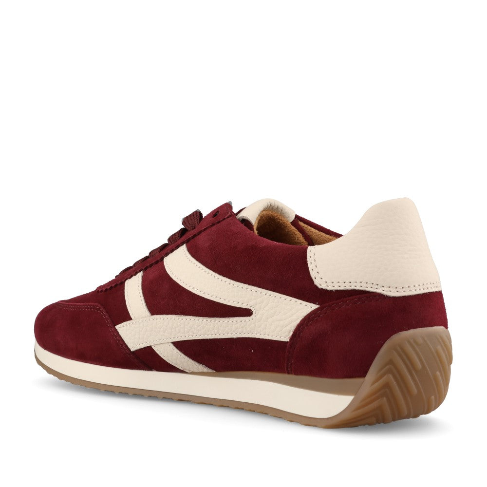 Gabor Ladies 6032.01.004 Globe Trainer In Burgundy/Cream