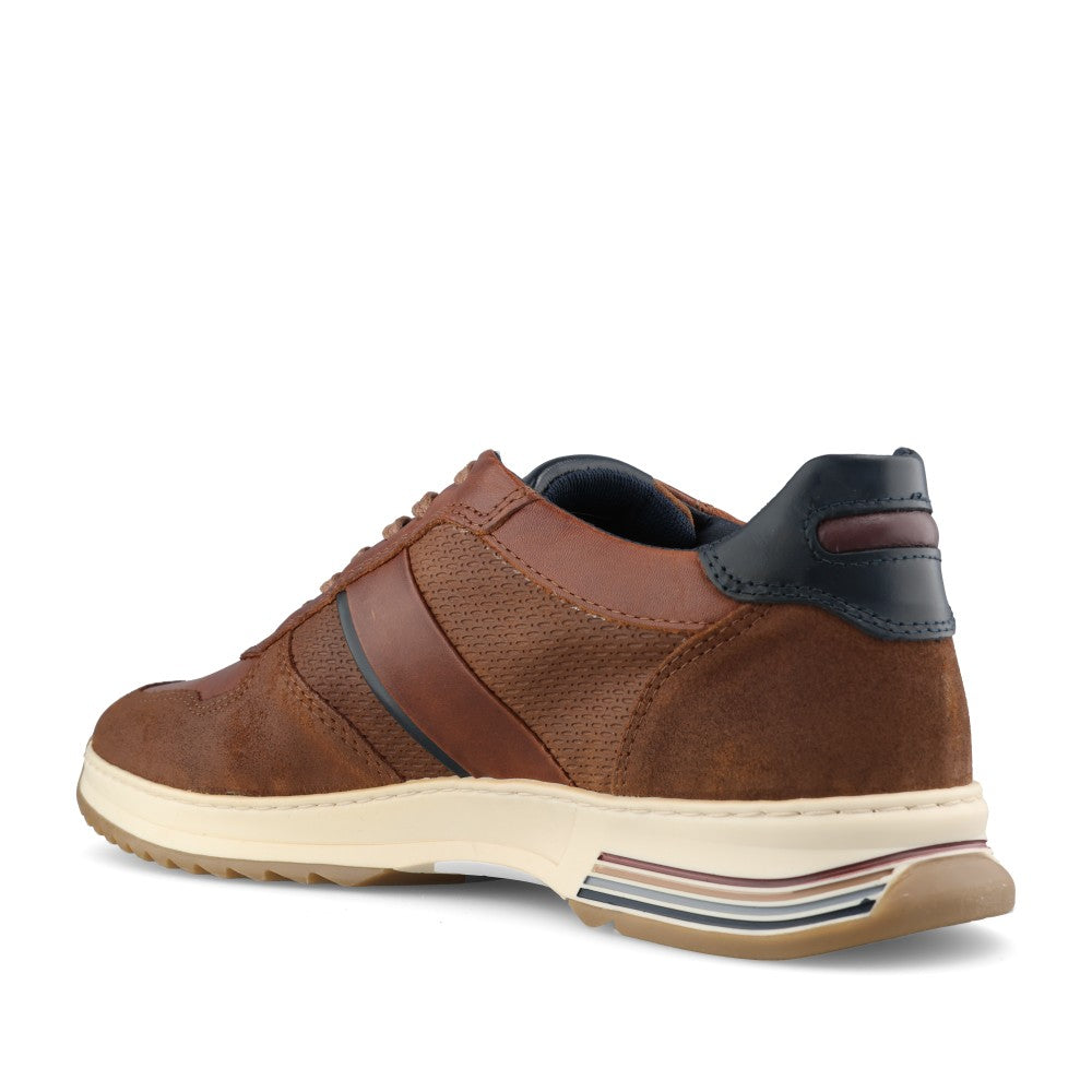 Lloyd & Pryce Mens Deaves Trainer In Tan