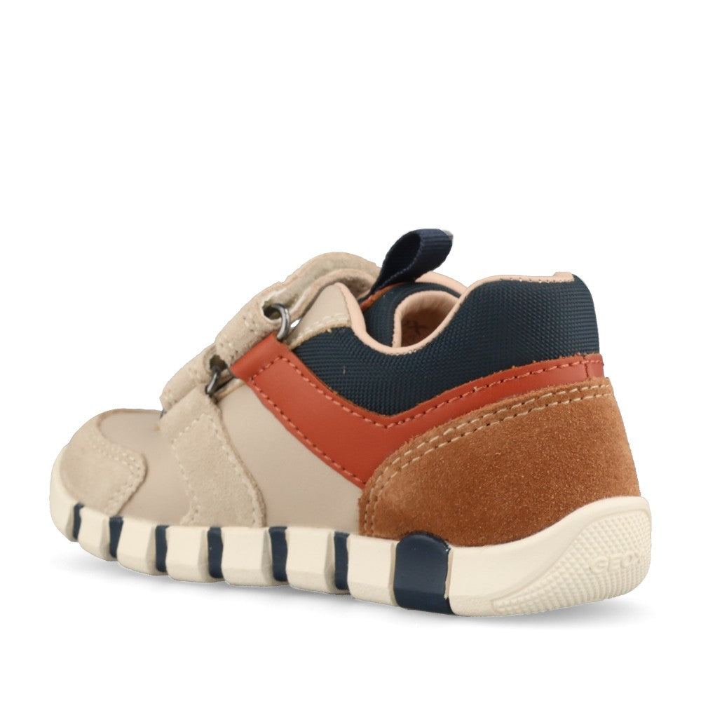 Geox Boys Iupidoo B3555D Shoe In Light Taupe