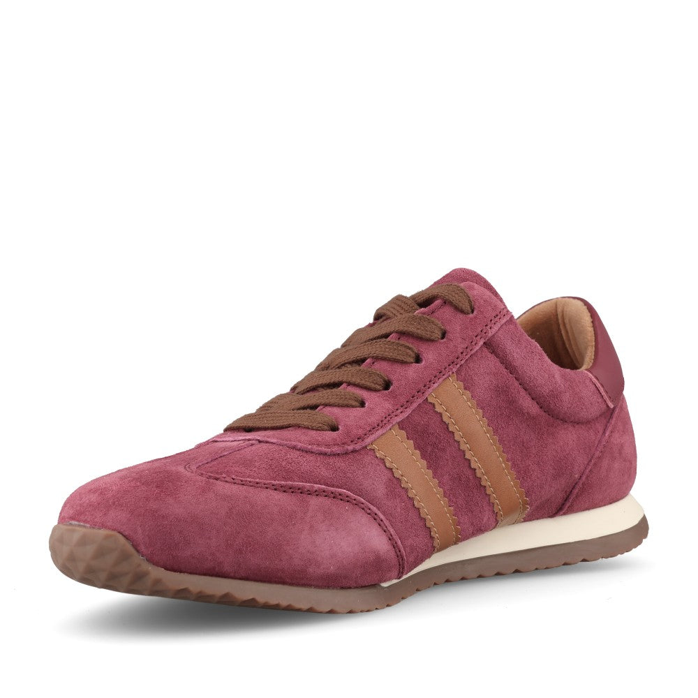 Drilleys Ladies Ninety Nine Trainer In Razzberry
