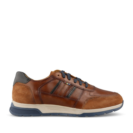 Dubarry Mens Sarris 5813 Trainer In Tan