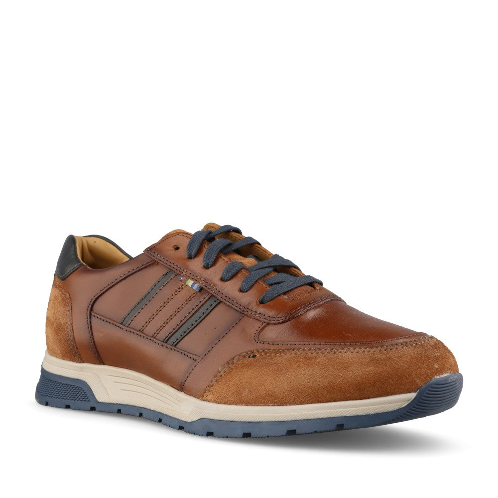 Dubarry Mens Sarris 5813 Trainer In Tan