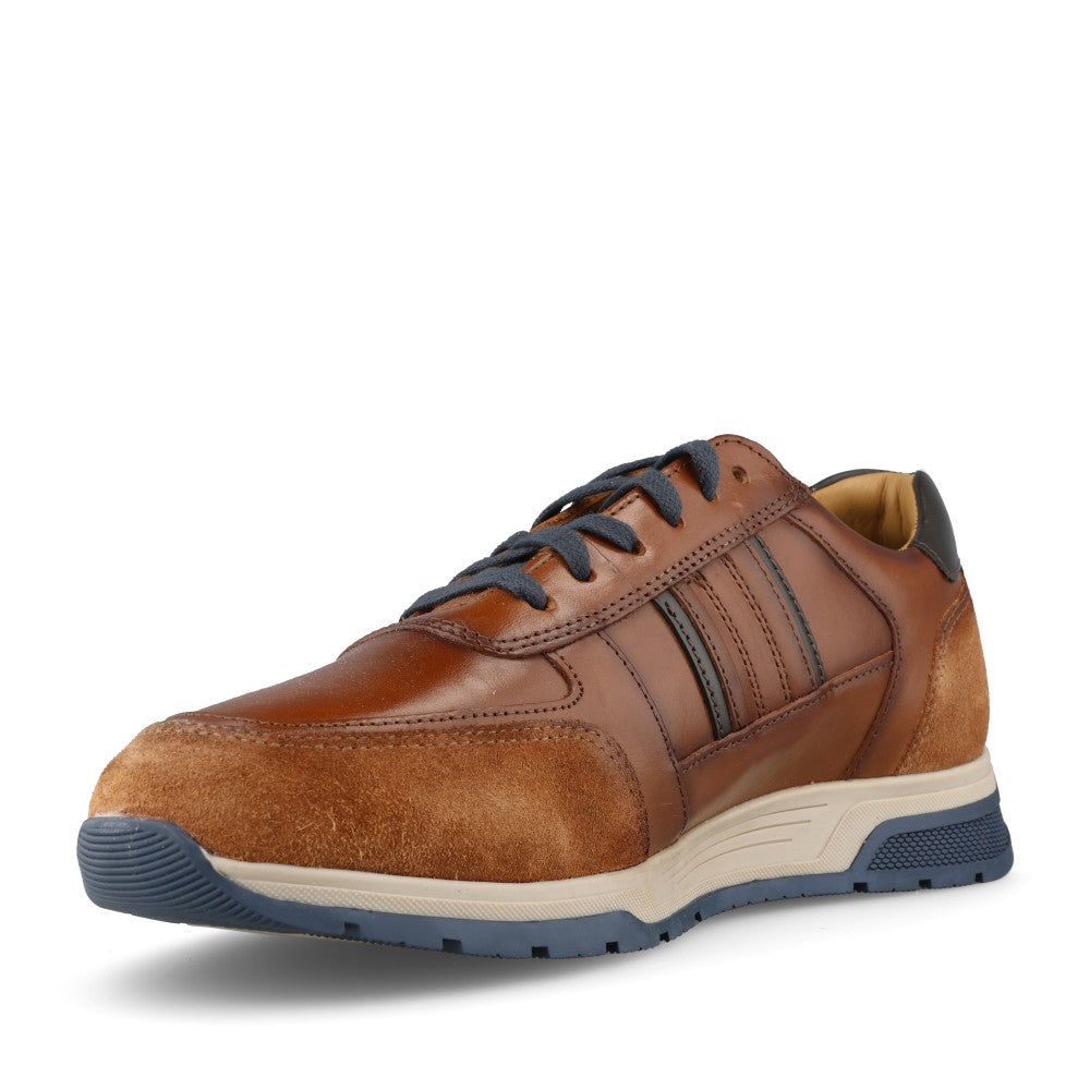 Dubarry Mens Sarris 5813 Trainer In Tan
