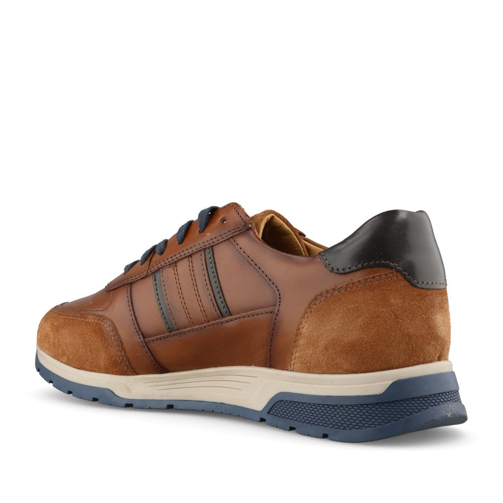 Dubarry Mens Sarris 5813 Trainer In Tan