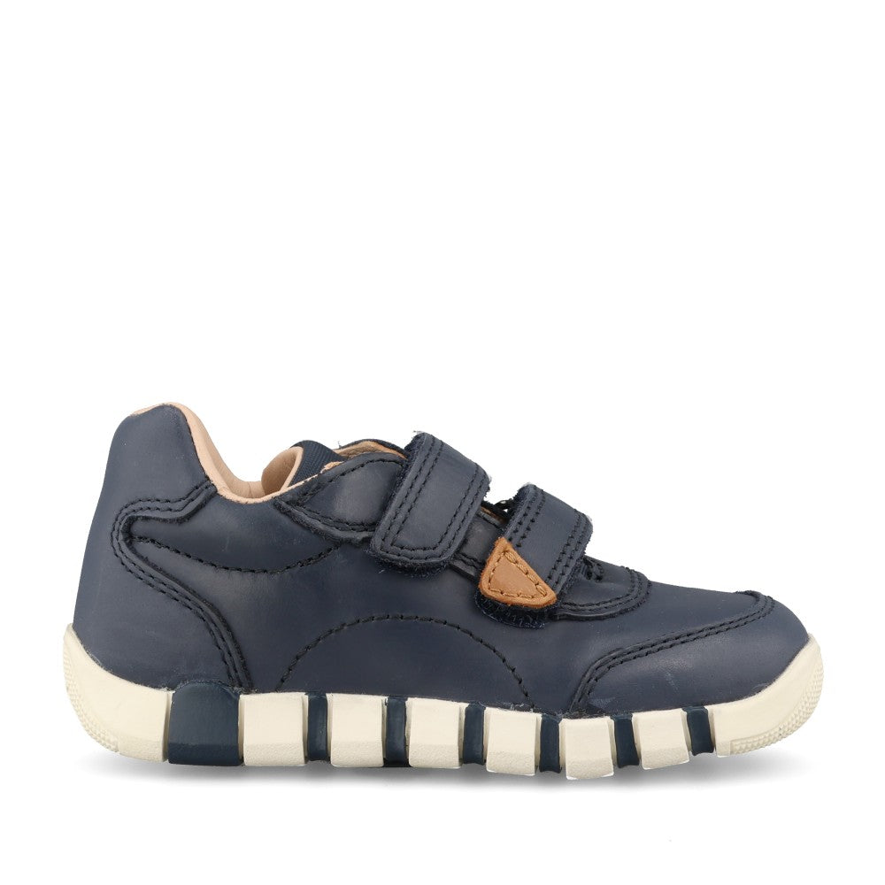 Geox Boys Iupidoo B5655B Shoe In Navy