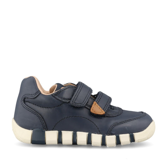 Geox Boys Iupidoo B5655B Shoe In Navy